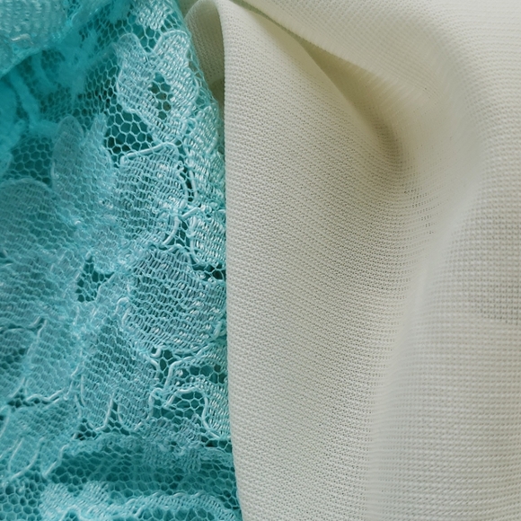 Blue Lace Midi Fit & Flare Dress - Picture 5 of 5